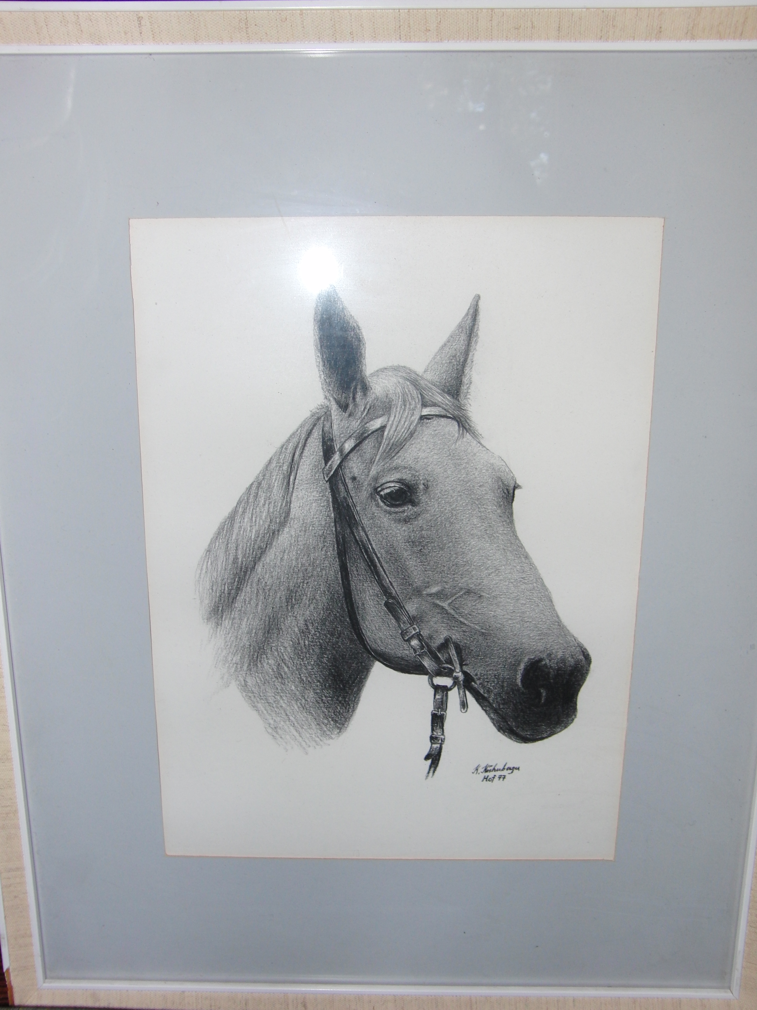 Pferdekopf Handzeichnung signiert