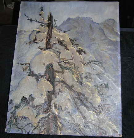 Tree in the alps full of snow