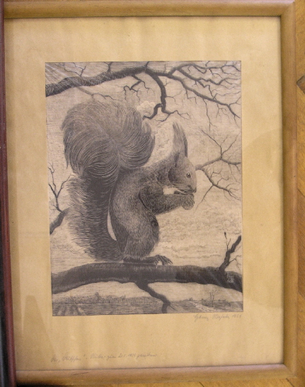 Eichhoernchen mit Nuss im Baum