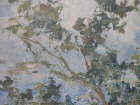 P2220035