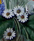 djkkP1200167